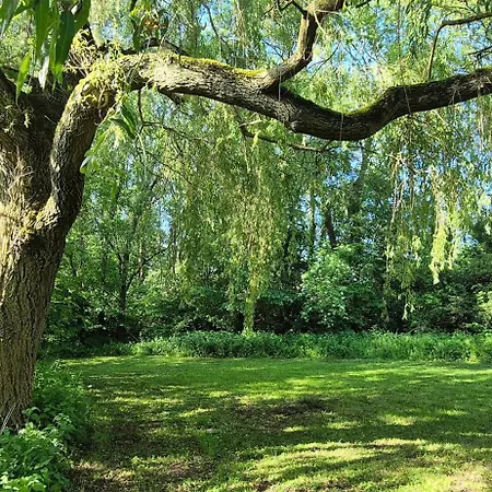 Favarge, Charm, Comfort, And A Large Garden Braine-le-Comte