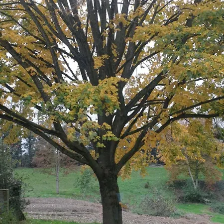 Favarge, Charm, Comfort, And A Large Garden * Braine-le-Comte
